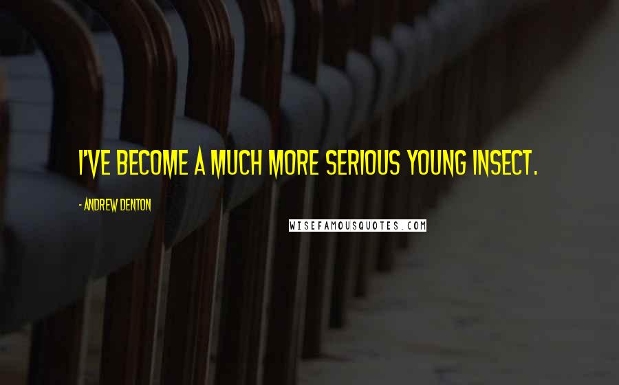 Andrew Denton Quotes: I've become a much more serious young insect.
