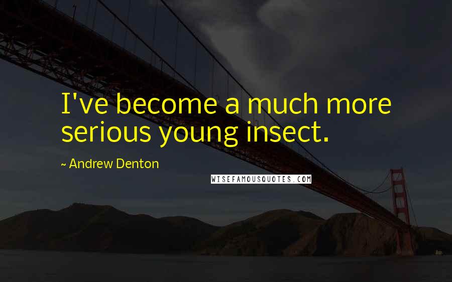 Andrew Denton Quotes: I've become a much more serious young insect.