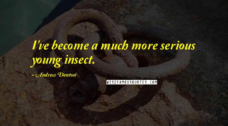 Andrew Denton Quotes: I've become a much more serious young insect.