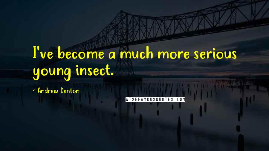 Andrew Denton Quotes: I've become a much more serious young insect.