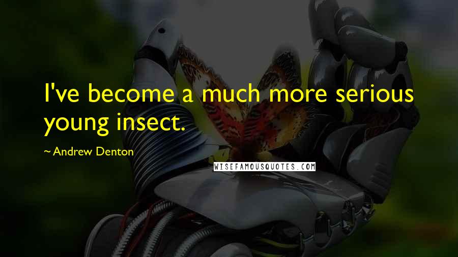 Andrew Denton Quotes: I've become a much more serious young insect.