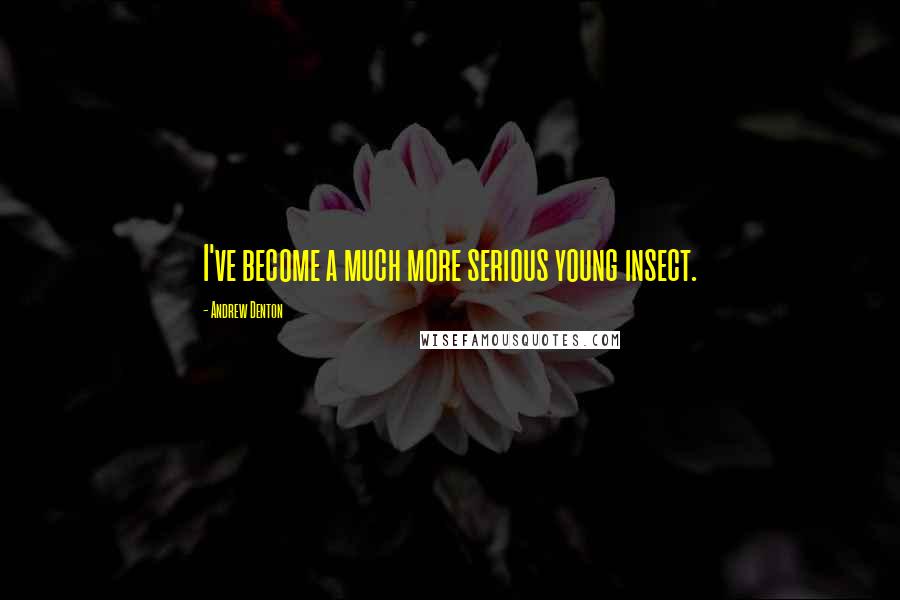 Andrew Denton Quotes: I've become a much more serious young insect.