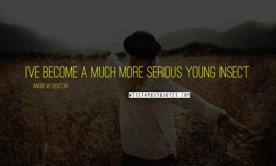 Andrew Denton Quotes: I've become a much more serious young insect.