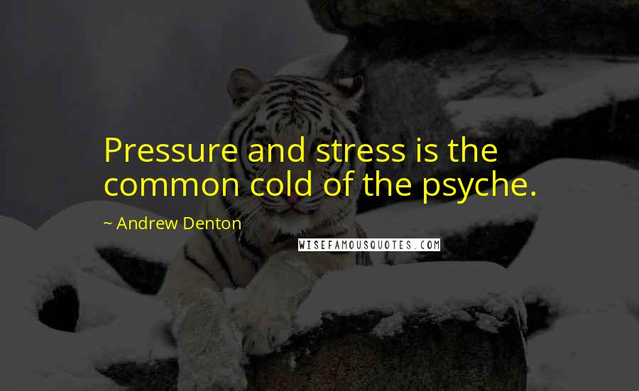 Andrew Denton Quotes: Pressure and stress is the common cold of the psyche.