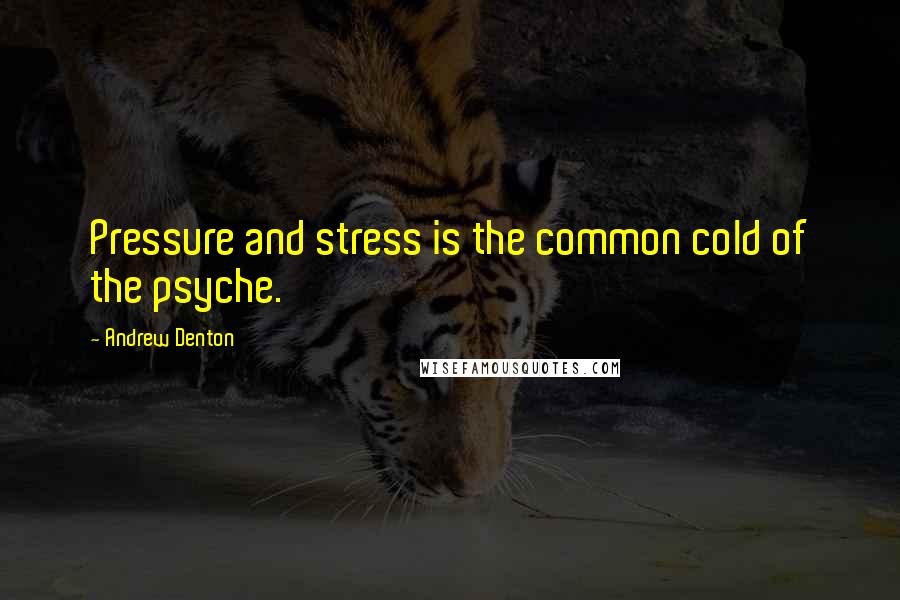 Andrew Denton Quotes: Pressure and stress is the common cold of the psyche.