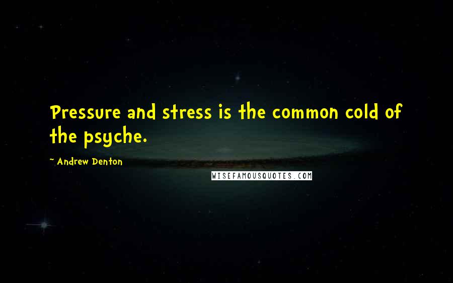 Andrew Denton Quotes: Pressure and stress is the common cold of the psyche.