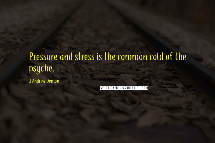 Andrew Denton Quotes: Pressure and stress is the common cold of the psyche.