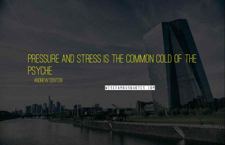 Andrew Denton Quotes: Pressure and stress is the common cold of the psyche.