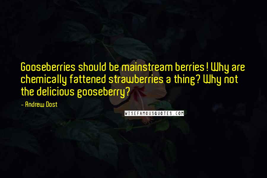 Andrew Dost Quotes: Gooseberries should be mainstream berries! Why are chemically fattened strawberries a thing? Why not the delicious gooseberry?