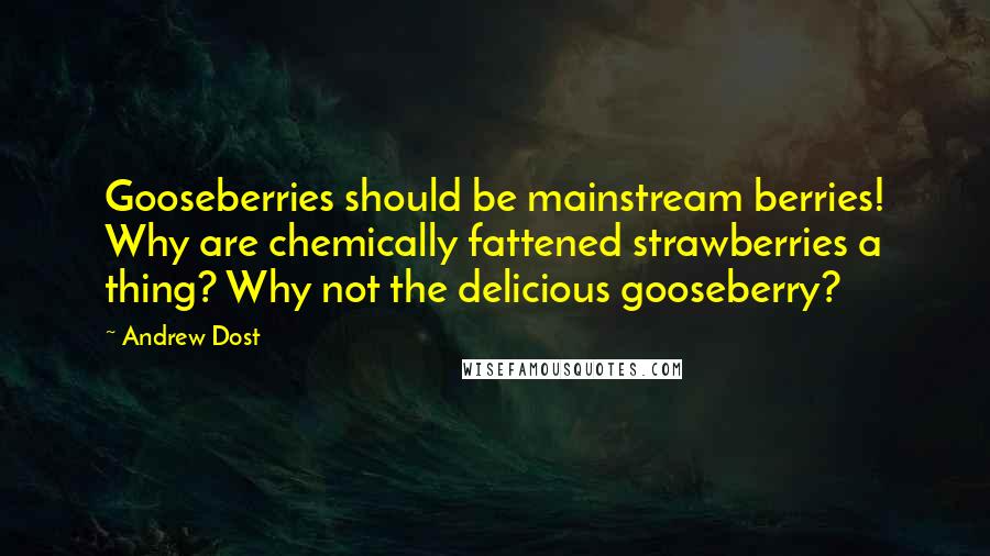 Andrew Dost Quotes: Gooseberries should be mainstream berries! Why are chemically fattened strawberries a thing? Why not the delicious gooseberry?