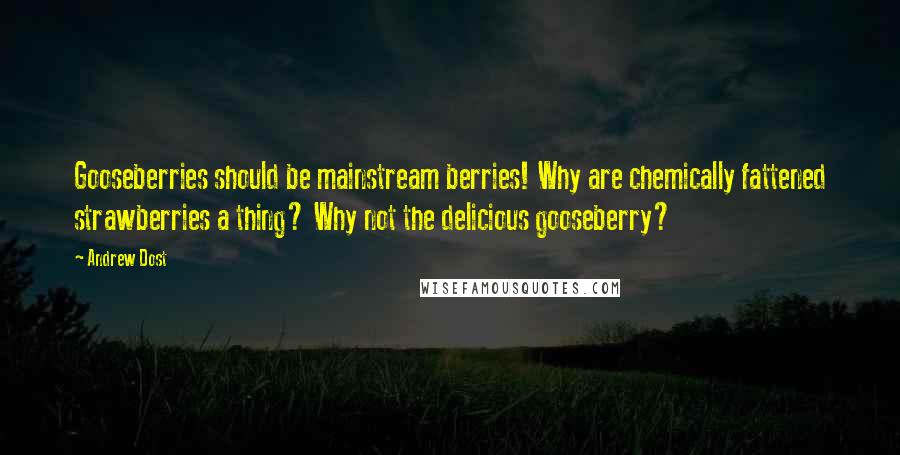 Andrew Dost Quotes: Gooseberries should be mainstream berries! Why are chemically fattened strawberries a thing? Why not the delicious gooseberry?