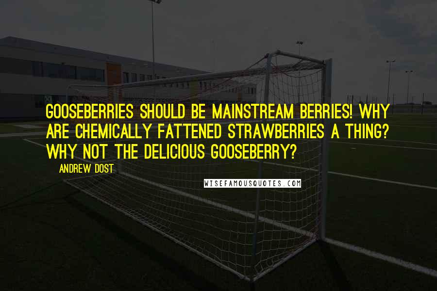 Andrew Dost Quotes: Gooseberries should be mainstream berries! Why are chemically fattened strawberries a thing? Why not the delicious gooseberry?