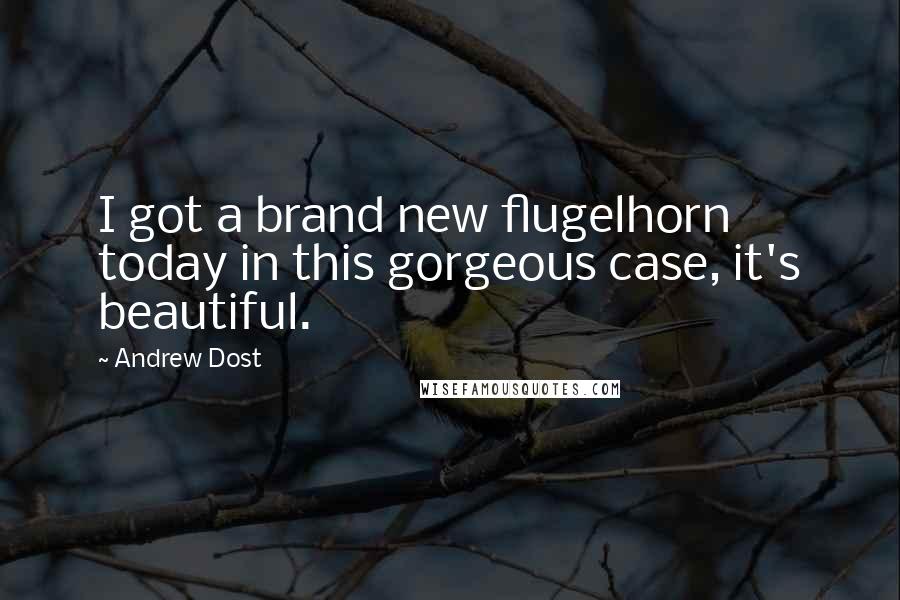 Andrew Dost Quotes: I got a brand new flugelhorn today in this gorgeous case, it's beautiful.