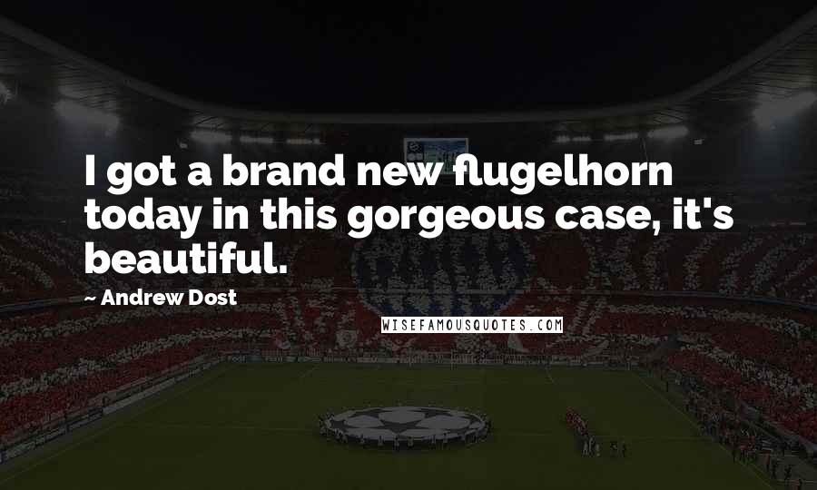 Andrew Dost Quotes: I got a brand new flugelhorn today in this gorgeous case, it's beautiful.