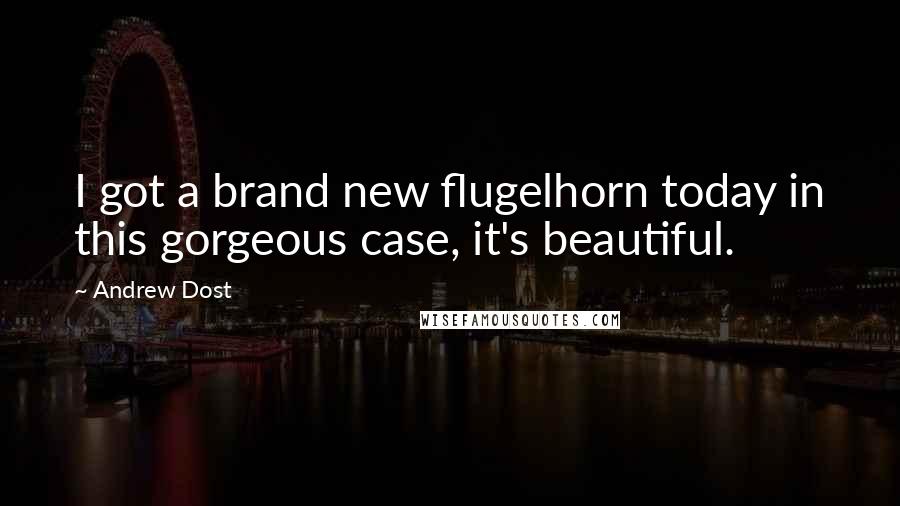 Andrew Dost Quotes: I got a brand new flugelhorn today in this gorgeous case, it's beautiful.