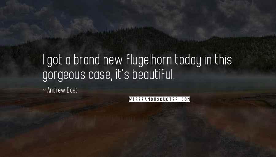 Andrew Dost Quotes: I got a brand new flugelhorn today in this gorgeous case, it's beautiful.