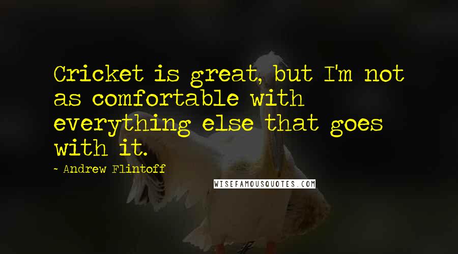 Andrew Flintoff Quotes: Cricket is great, but I'm not as comfortable with everything else that goes with it.
