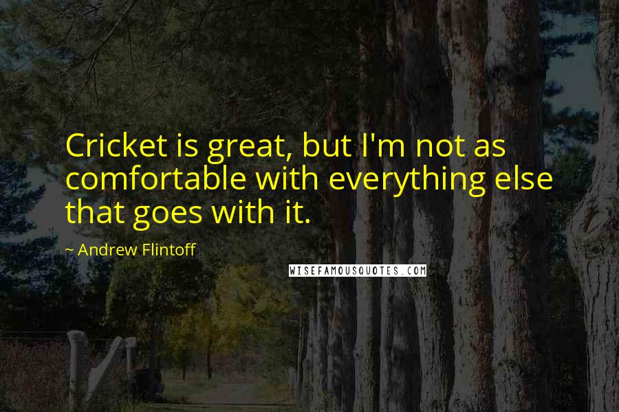 Andrew Flintoff Quotes: Cricket is great, but I'm not as comfortable with everything else that goes with it.