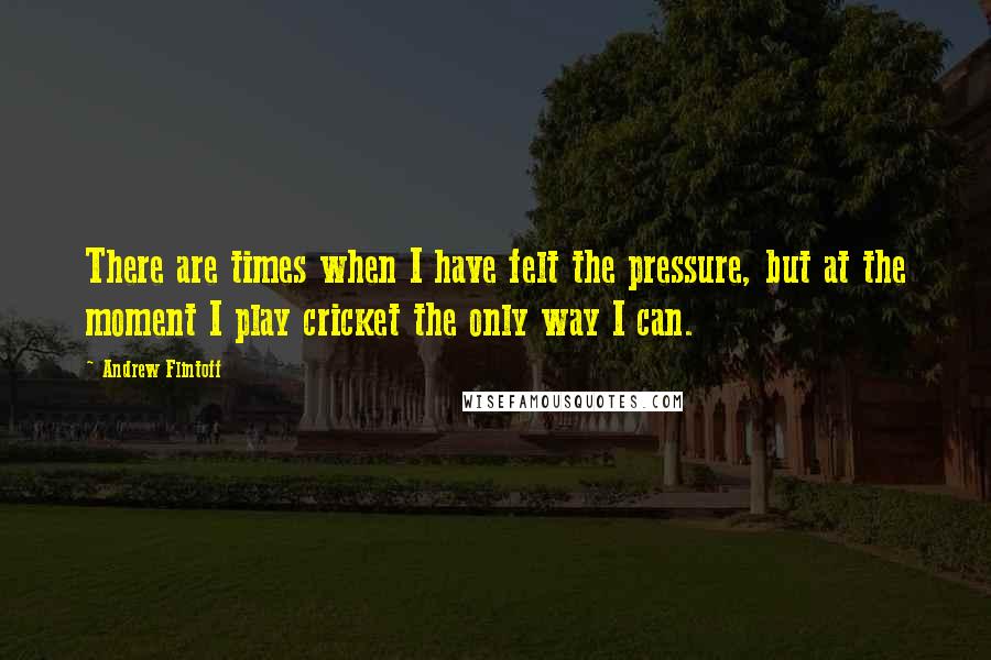 Andrew Flintoff Quotes: There are times when I have felt the pressure, but at the moment I play cricket the only way I can.