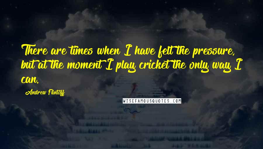 Andrew Flintoff Quotes: There are times when I have felt the pressure, but at the moment I play cricket the only way I can.