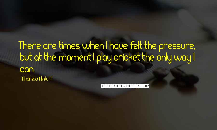 Andrew Flintoff Quotes: There are times when I have felt the pressure, but at the moment I play cricket the only way I can.