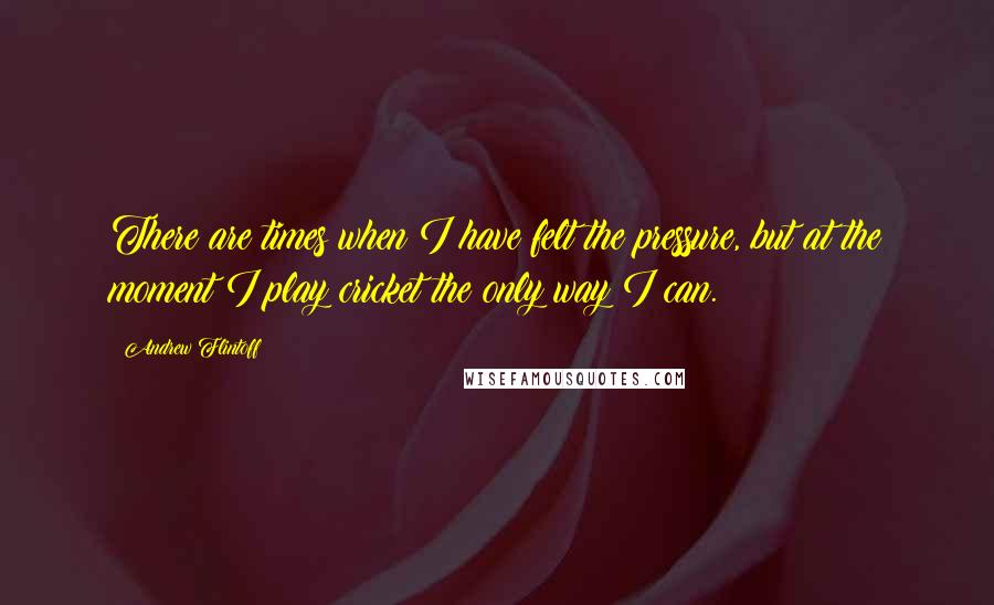 Andrew Flintoff Quotes: There are times when I have felt the pressure, but at the moment I play cricket the only way I can.