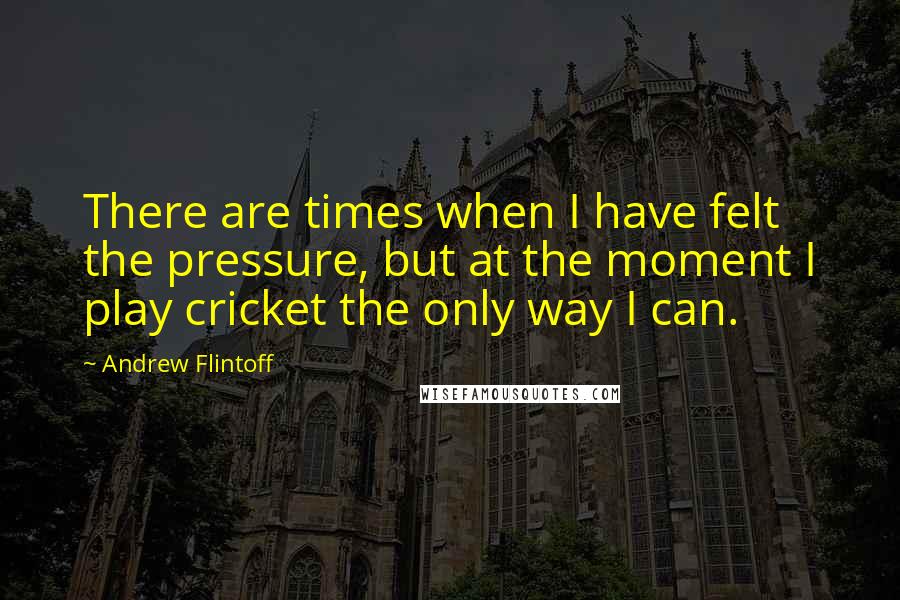 Andrew Flintoff Quotes: There are times when I have felt the pressure, but at the moment I play cricket the only way I can.