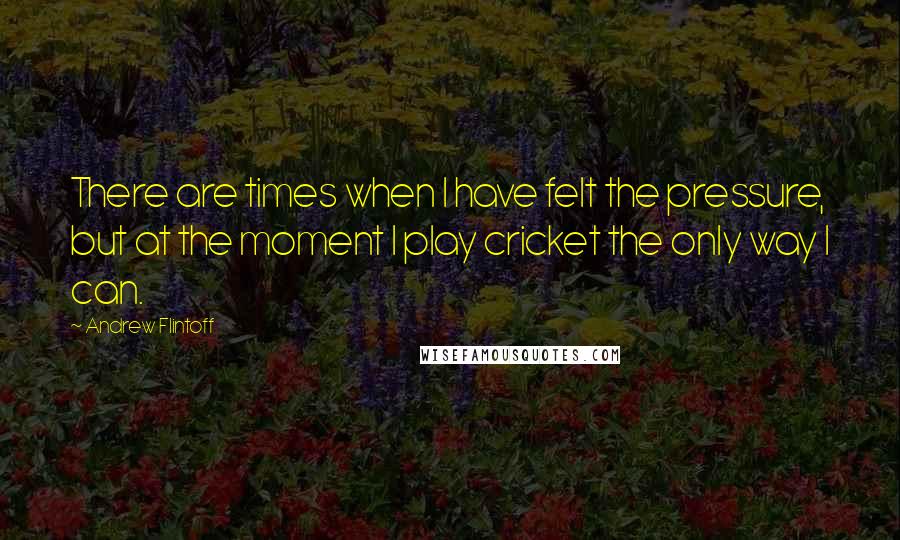 Andrew Flintoff Quotes: There are times when I have felt the pressure, but at the moment I play cricket the only way I can.