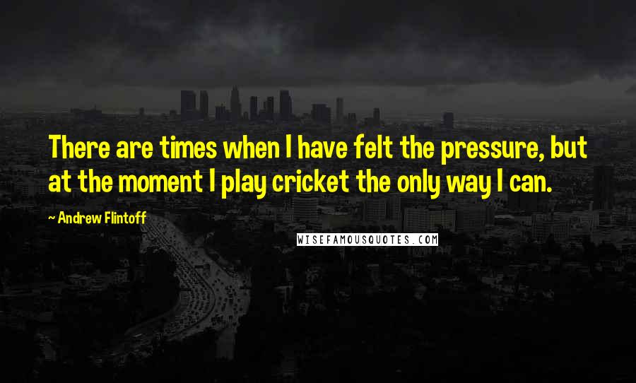 Andrew Flintoff Quotes: There are times when I have felt the pressure, but at the moment I play cricket the only way I can.