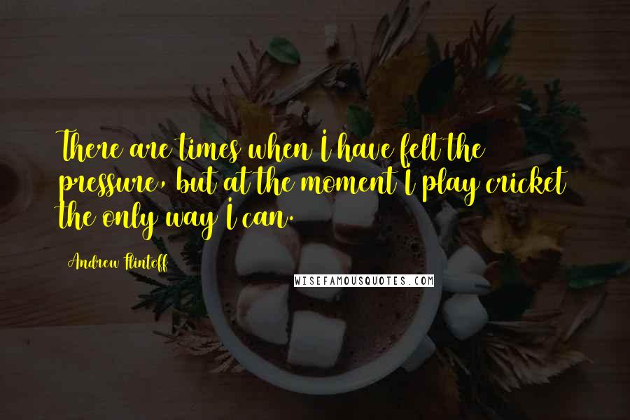 Andrew Flintoff Quotes: There are times when I have felt the pressure, but at the moment I play cricket the only way I can.