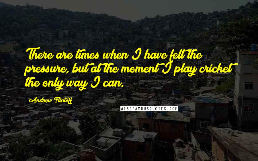 Andrew Flintoff Quotes: There are times when I have felt the pressure, but at the moment I play cricket the only way I can.