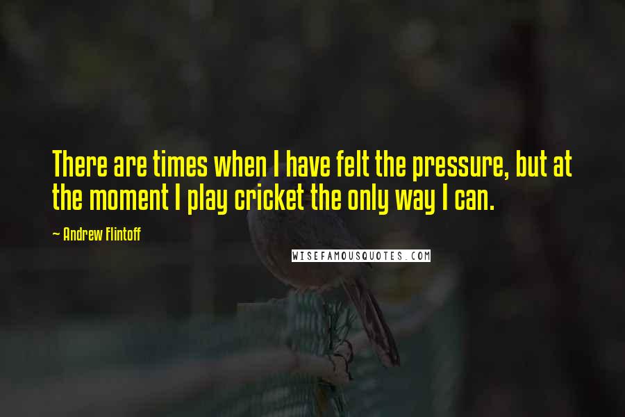 Andrew Flintoff Quotes: There are times when I have felt the pressure, but at the moment I play cricket the only way I can.