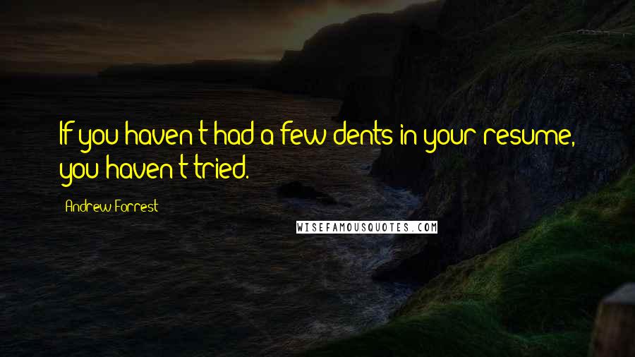 Andrew Forrest Quotes: If you haven't had a few dents in your resume, you haven't tried.