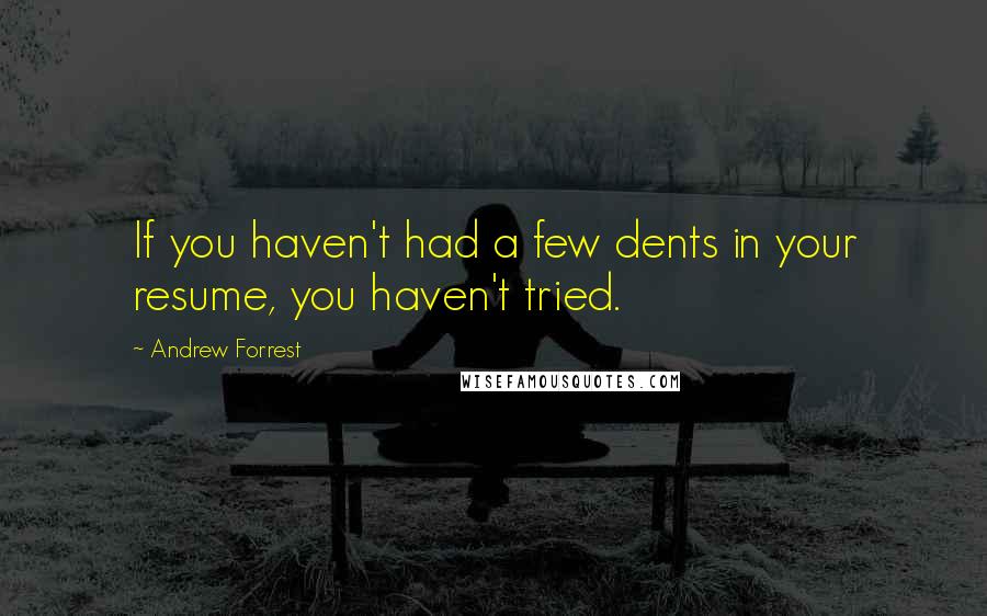 Andrew Forrest Quotes: If you haven't had a few dents in your resume, you haven't tried.