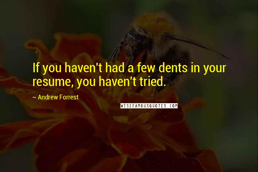 Andrew Forrest Quotes: If you haven't had a few dents in your resume, you haven't tried.