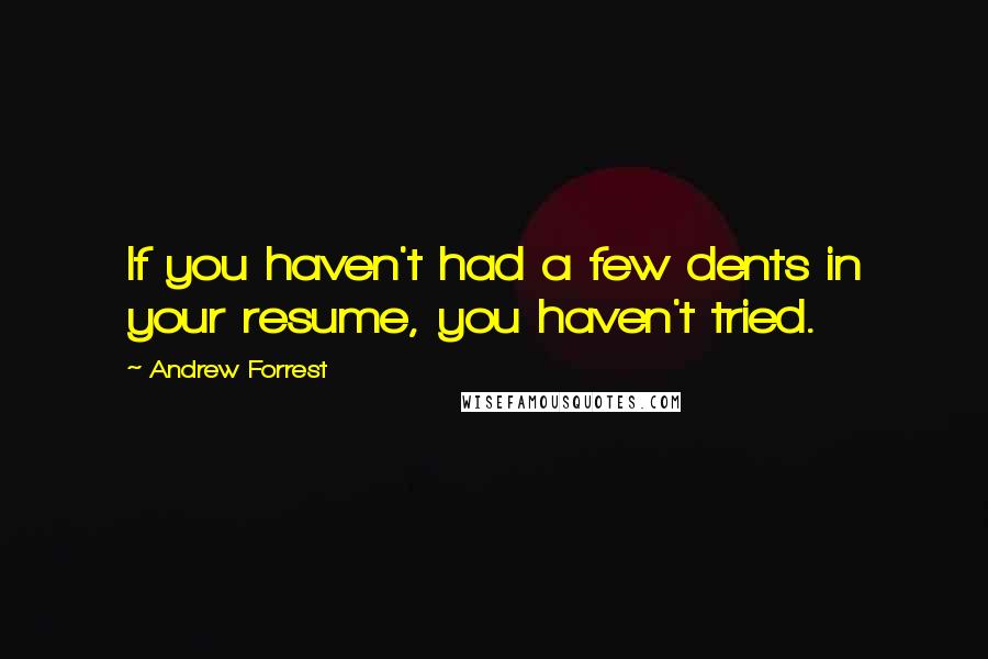 Andrew Forrest Quotes: If you haven't had a few dents in your resume, you haven't tried.