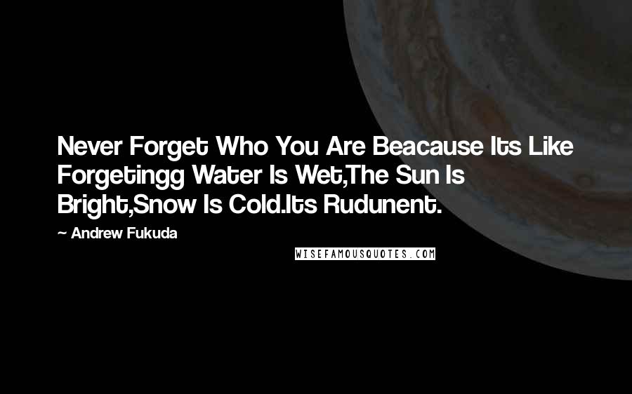 Andrew Fukuda Quotes: Never Forget Who You Are Beacause Its Like Forgetingg Water Is Wet,The Sun Is Bright,Snow Is Cold.Its Rudunent.