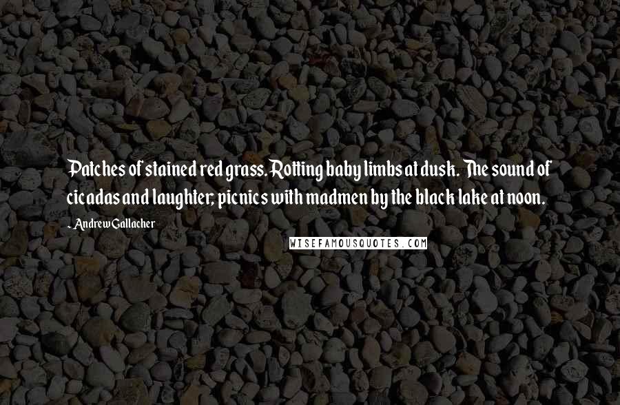 Andrew Gallacher Quotes: Patches of stained red grass. Rotting baby limbs at dusk. The sound of cicadas and laughter; picnics with madmen by the black lake at noon.