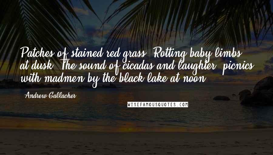 Andrew Gallacher Quotes: Patches of stained red grass. Rotting baby limbs at dusk. The sound of cicadas and laughter; picnics with madmen by the black lake at noon.