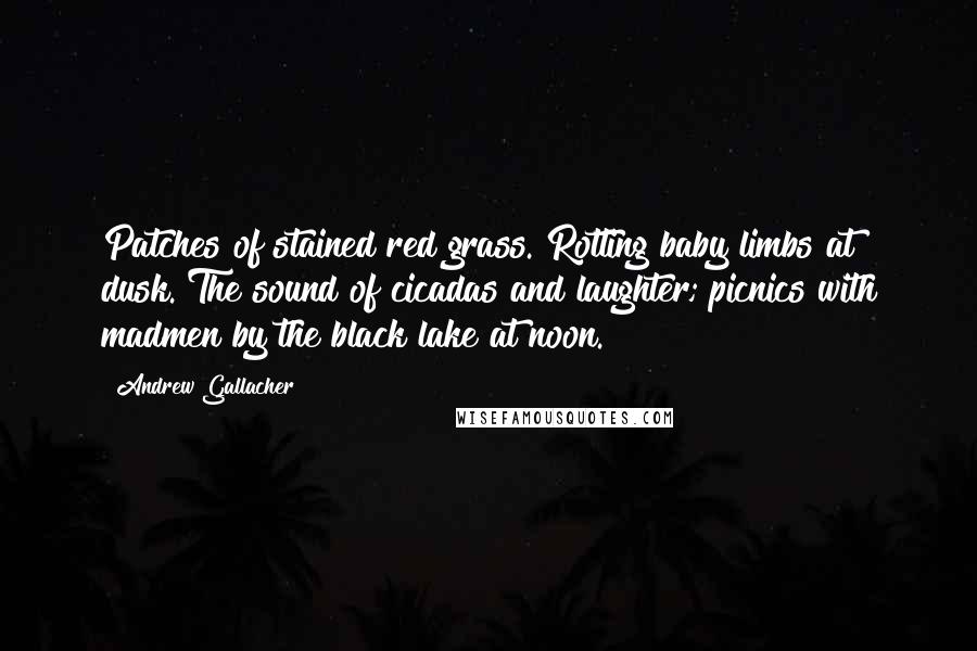 Andrew Gallacher Quotes: Patches of stained red grass. Rotting baby limbs at dusk. The sound of cicadas and laughter; picnics with madmen by the black lake at noon.