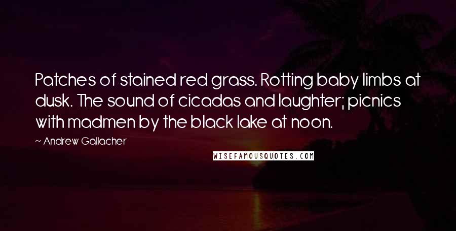 Andrew Gallacher Quotes: Patches of stained red grass. Rotting baby limbs at dusk. The sound of cicadas and laughter; picnics with madmen by the black lake at noon.