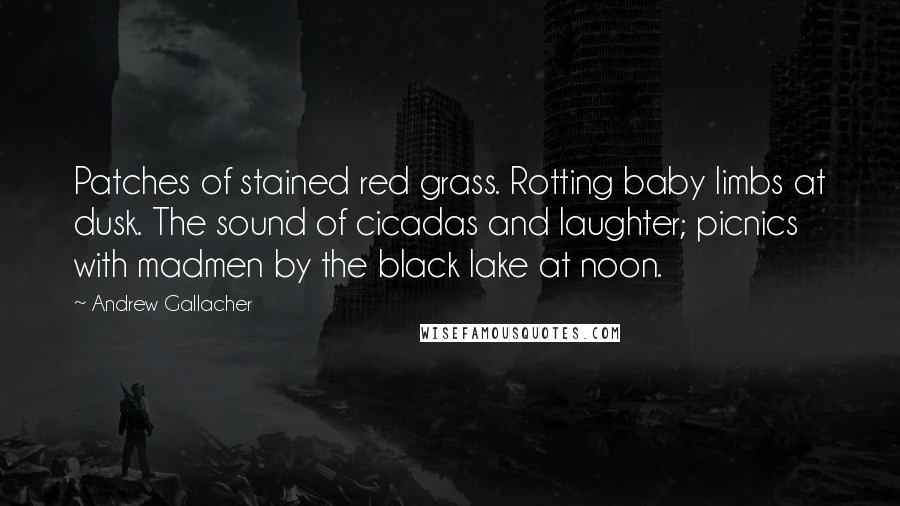 Andrew Gallacher Quotes: Patches of stained red grass. Rotting baby limbs at dusk. The sound of cicadas and laughter; picnics with madmen by the black lake at noon.