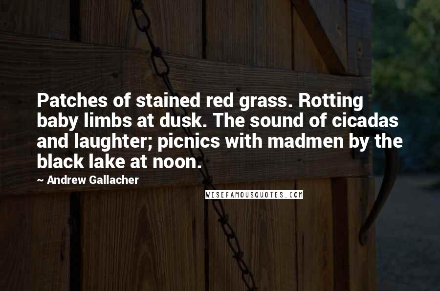 Andrew Gallacher Quotes: Patches of stained red grass. Rotting baby limbs at dusk. The sound of cicadas and laughter; picnics with madmen by the black lake at noon.