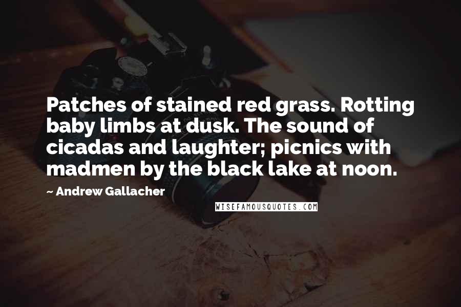 Andrew Gallacher Quotes: Patches of stained red grass. Rotting baby limbs at dusk. The sound of cicadas and laughter; picnics with madmen by the black lake at noon.