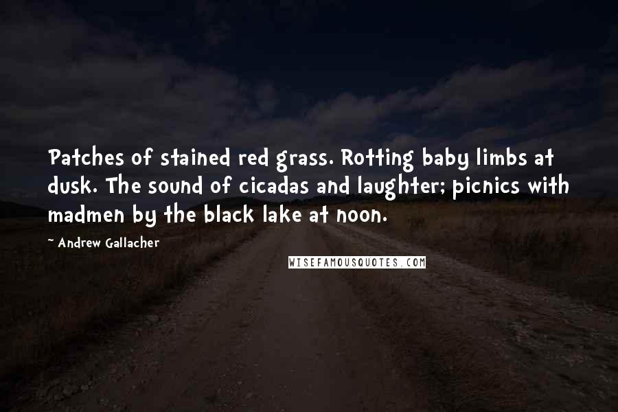 Andrew Gallacher Quotes: Patches of stained red grass. Rotting baby limbs at dusk. The sound of cicadas and laughter; picnics with madmen by the black lake at noon.