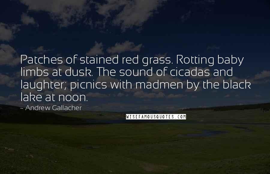 Andrew Gallacher Quotes: Patches of stained red grass. Rotting baby limbs at dusk. The sound of cicadas and laughter; picnics with madmen by the black lake at noon.