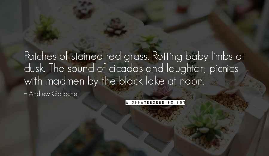 Andrew Gallacher Quotes: Patches of stained red grass. Rotting baby limbs at dusk. The sound of cicadas and laughter; picnics with madmen by the black lake at noon.