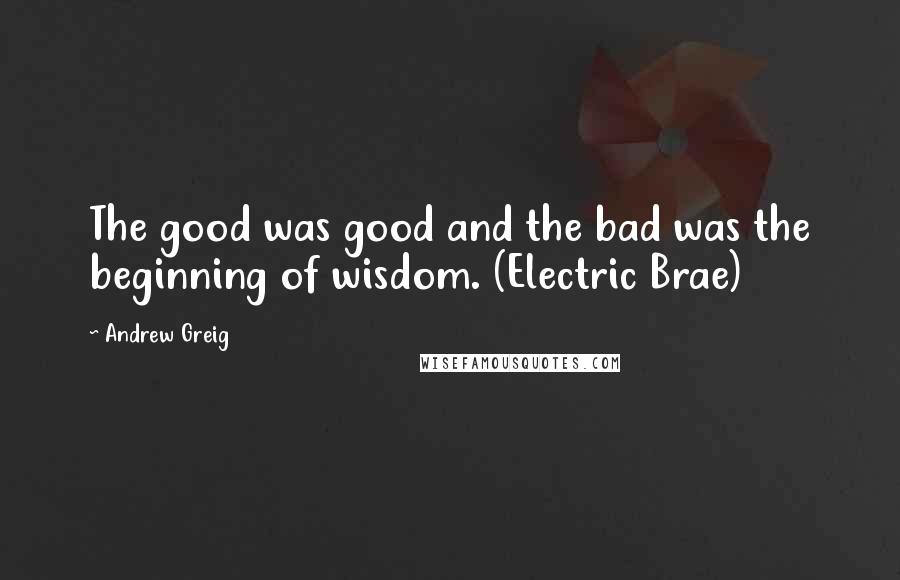 Andrew Greig Quotes: The good was good and the bad was the beginning of wisdom. (Electric Brae)