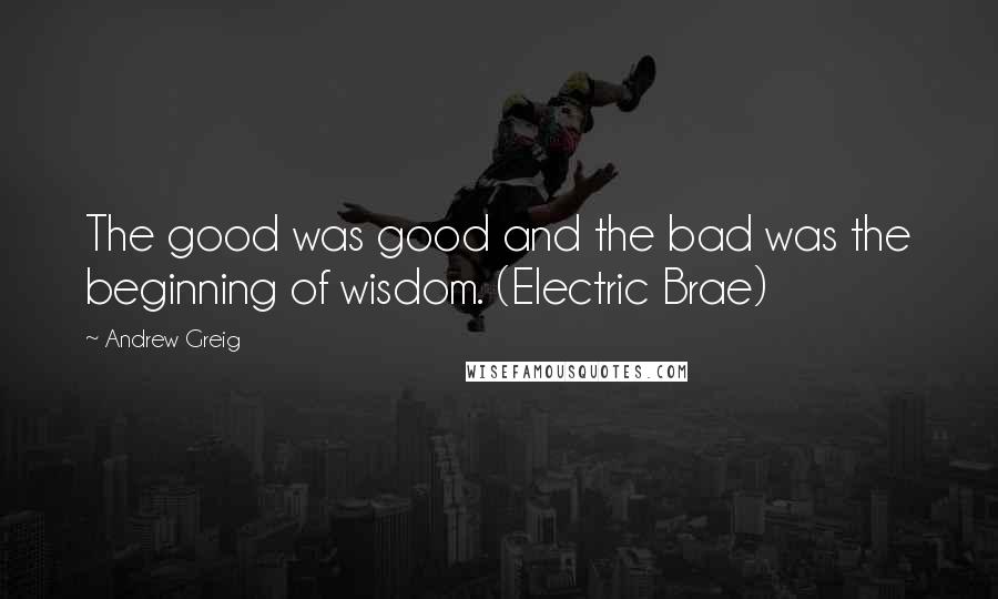 Andrew Greig Quotes: The good was good and the bad was the beginning of wisdom. (Electric Brae)