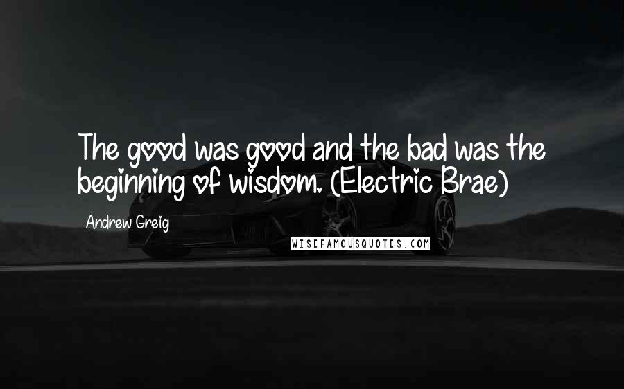 Andrew Greig Quotes: The good was good and the bad was the beginning of wisdom. (Electric Brae)